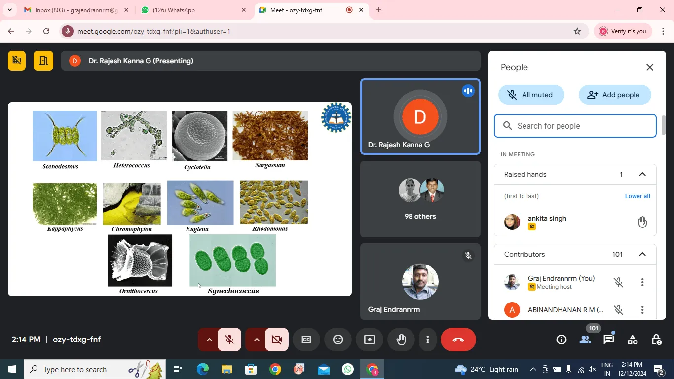 Virtual Workshop on “Algal Culture” - photo 2