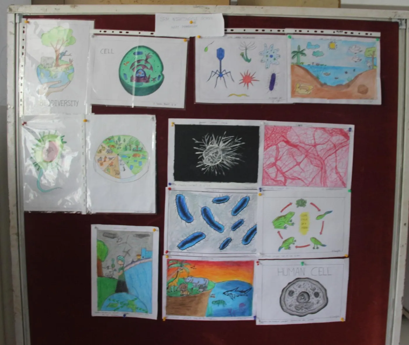 Portraits of Biology - photo 3