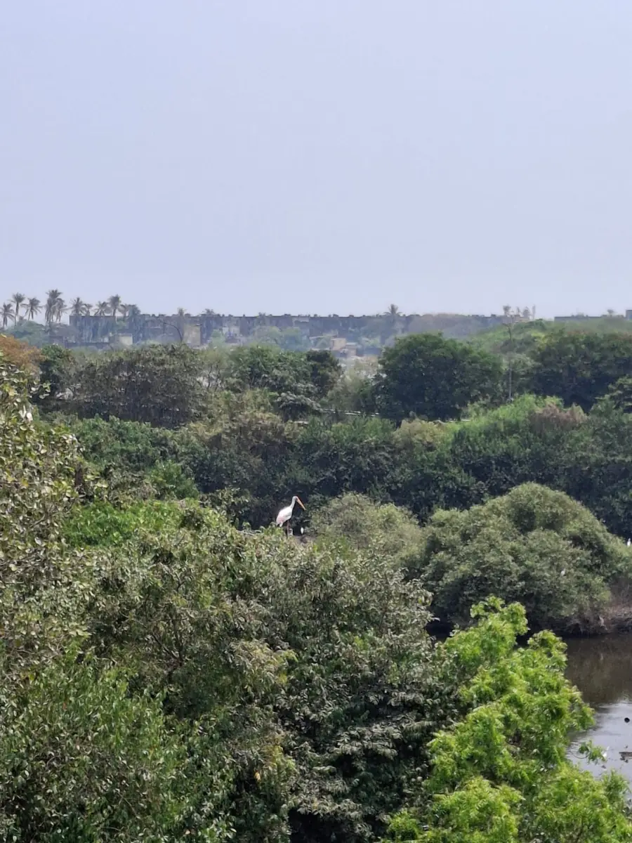 Nature Walk: Deconstructing the Wilderness in Eco-literature - photo 3